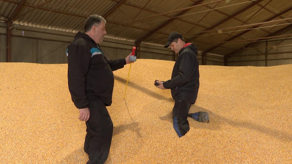 Mezőgazdasági körkép – a szezonra készülnek a gazdák Mezőgazdasági körkép – a szezonra készülnek a gazdák