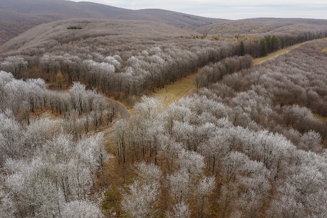 Berobbant a tl Magyarorszgra, hrteg bortja a Mtrt