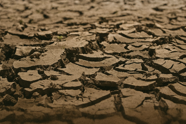 Az idei nyr felperzselte a Krpt-medenct