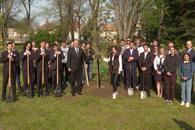 Elültették a végzősök fáját Zalaegerszegen Elültették a végzősök fáját Zalaegerszegen