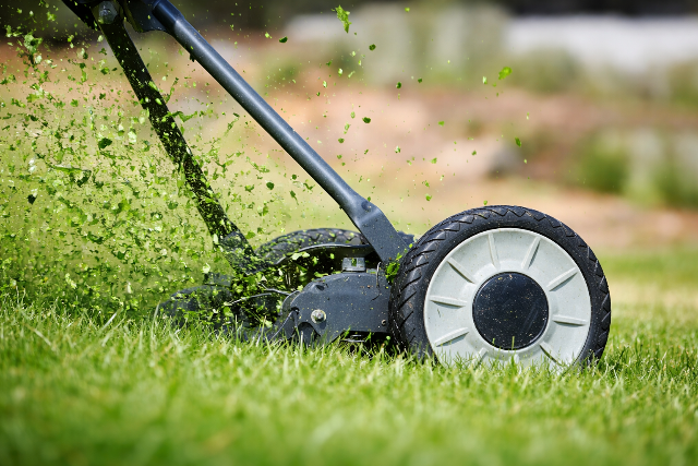 Ez�rt ne ny�rjon f�vet m�jusban