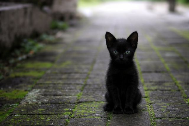 P�ntek 13 – mi v�rhat �nre ezen a balj�s napon?