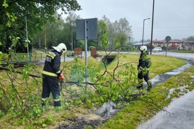 Kid�lt fa akad�lyozta a ker�kp�ros k�zleked�st Zalaegerszegen
