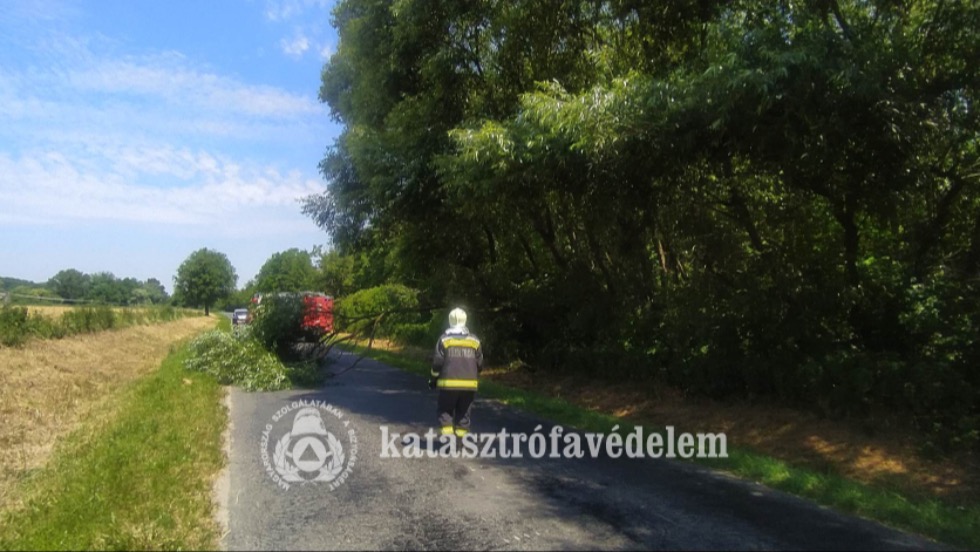 Megdőlt fát távolítottak el az útról a zalaegerszegi tűzoltók Megdőlt fát távolítottak el az útról a zalaegerszegi tűzoltók