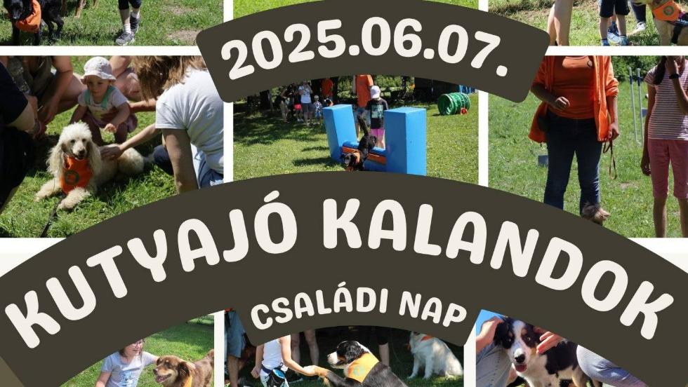 Kutyajó kalandok – családi nap a Zalai Kutyasulival Kutyajó kalandok – családi nap a Zalai Kutyasulival