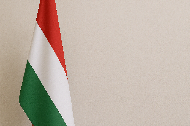 llamtitkr irnytja a Katonai Nemzetbiztonsgi Szolglatot mjus 1-jtl 