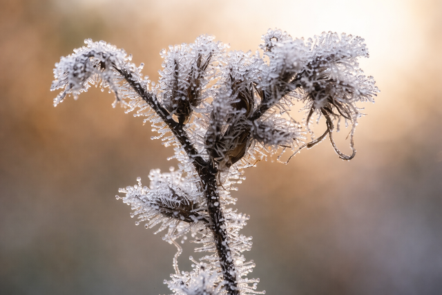 �jabb gyenge fagyot hozhat a h�tv�ge