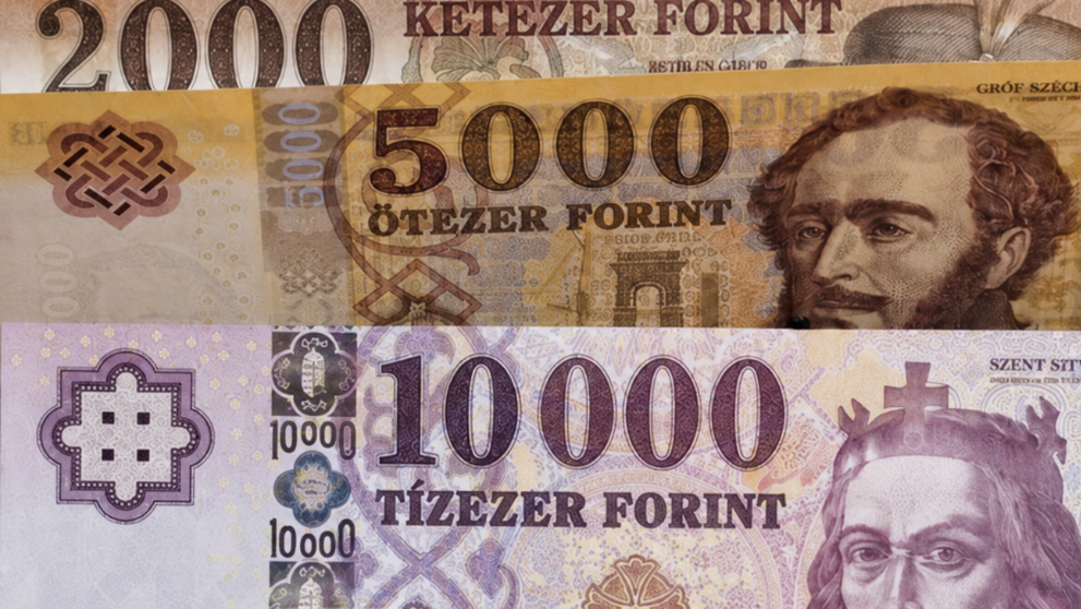 Havi több tízezer forint kiegészítő támogatás járhat a nyugdíjasok egy részének
Havi több tízezer forint kiegészítő támogatás járhat a nyugdíjasok egy részének