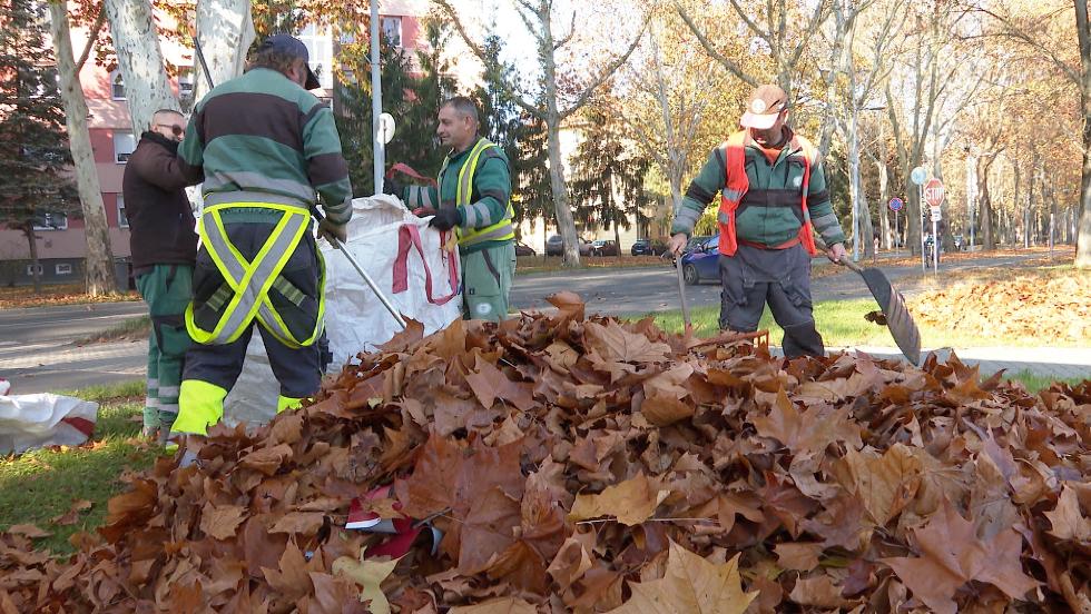 Lombgyjts – vente csaknem 3 ezer tonna zldhulladkot komposztlnak