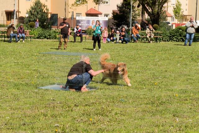 Els� alkalommal tartottak �llatbar�t napot a Vizslaparkban