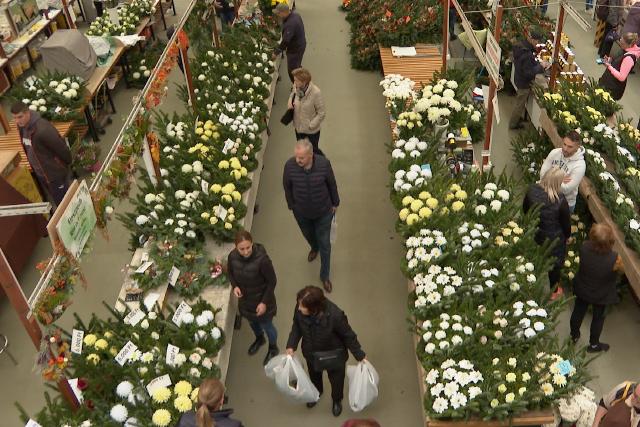 Koszork, virgok s mcsesek – Mindenszentekre kszlnek a piacon