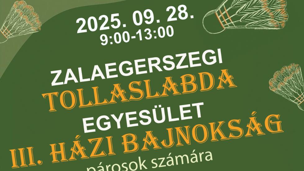 Pros tollaslabda bajnoksg az Apczaiban

