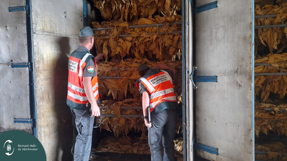„Illegális gyűjtögetők” jelentek meg, fokozott ellenőrzést tart a hatóság „Illegális gyűjtögetők” jelentek meg, fokozott ellenőrzést tart a hatóság