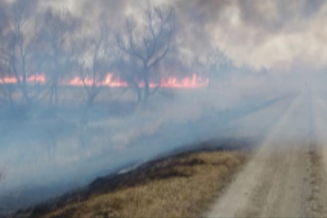 Emelkedik a szabadtri tzek szma Zalban is