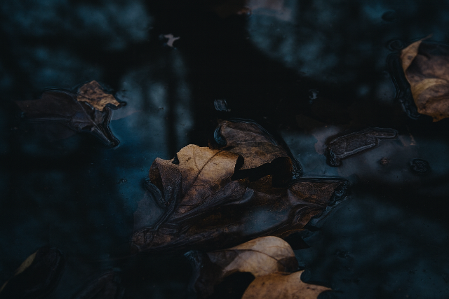 �gy �rkezik h�tf�n az �sz