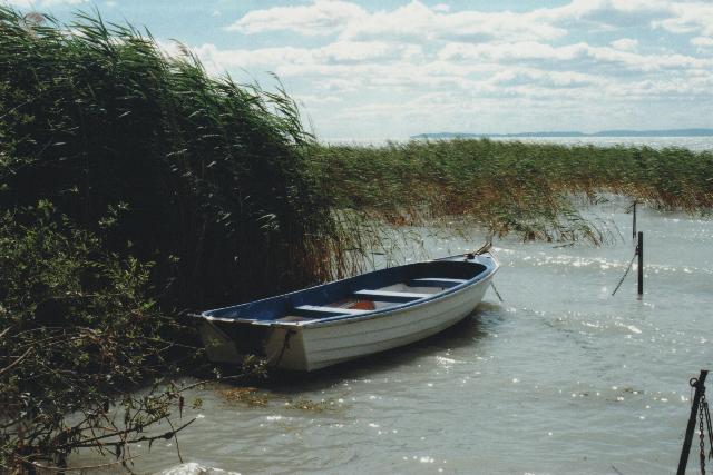 Megtalálták a vízimentők a Balatonban eltűnt férfi holttestét Megtalálták a vízimentők a Balatonban eltűnt férfi holttestét