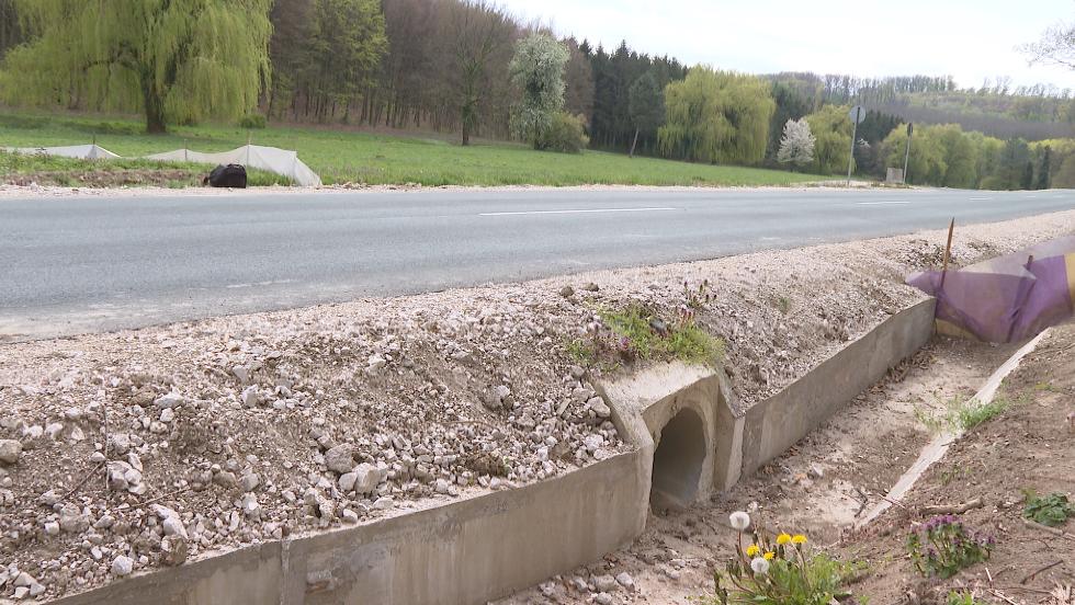 Bevált a békaalagút – Ezrek keltek át biztonságosan Bevált a békaalagút – Ezrek keltek át biztonságosan
