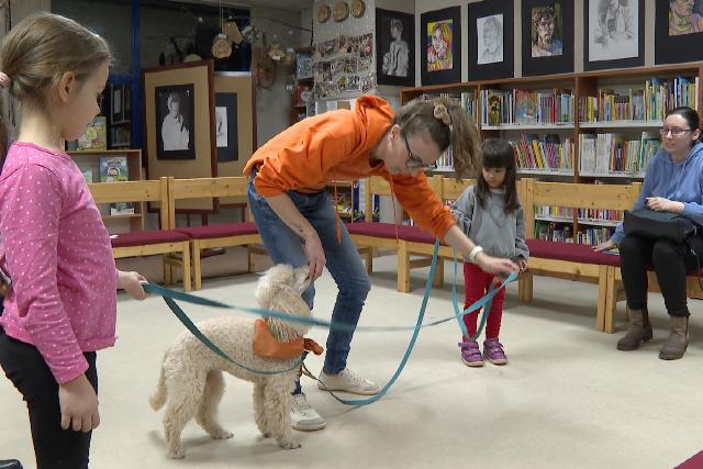 �r�m K�r a v�rosi k�nyvt�rban