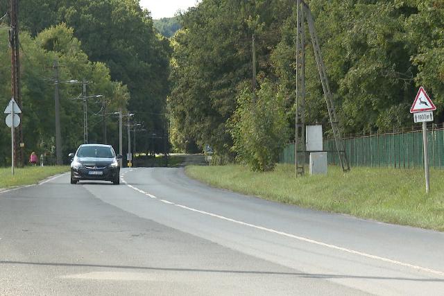 Elkezd�d�tt a szarvasvad�szat a zalai erd�kben