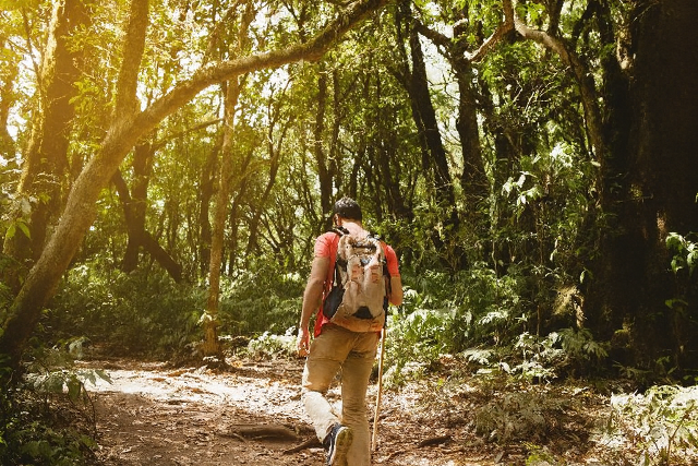 Ősszel is támadhatnak a kullancsok Ősszel is támadhatnak a kullancsok