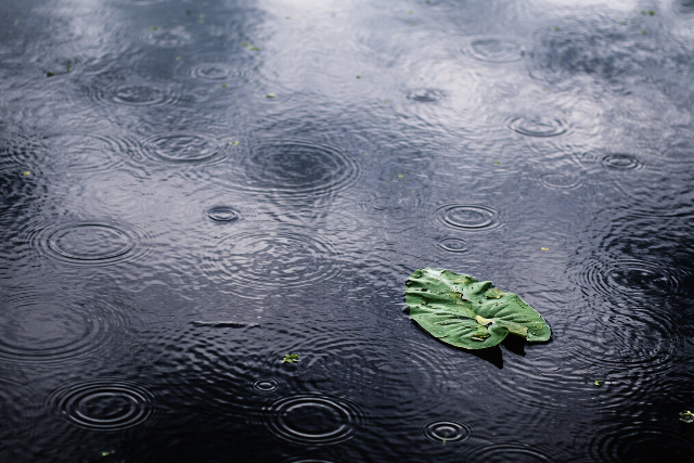 Es�vel b�cs�zik a t�l – csapad�khull�m �rkezik


