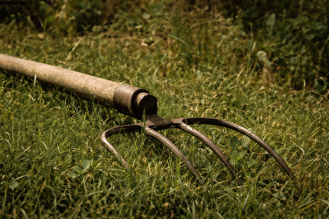 Vasvill�val t�madt r� egy f�rfi a Google Utcak�p aut�j�ra Balaton�sz�d�n