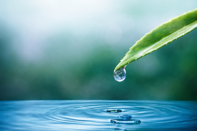 Ma van a v�z vil�gnapja: tegy�k meg, amit csak tudunk!