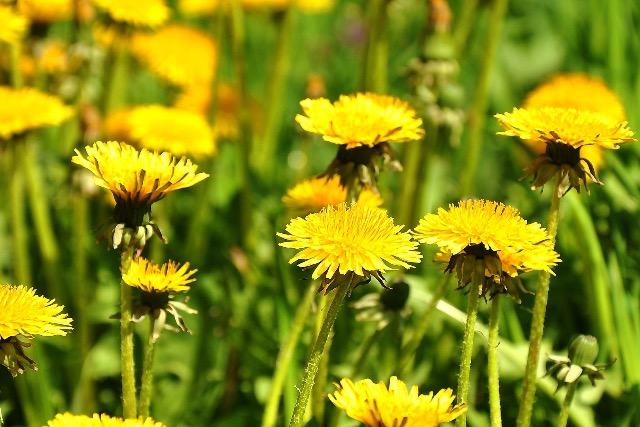 Hihetetlen, mennyi mindenre j� a gyermekl�ncf� - itt a lista