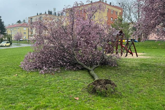 Kid�lt f�k, leszakadt vezet�kek �s baleset is adott munk�t a zalai t�zolt�knak