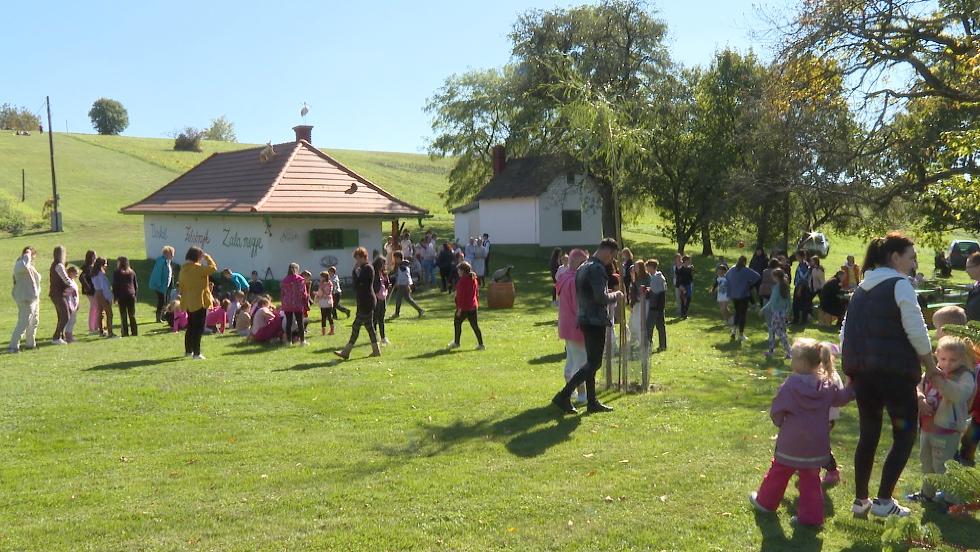 Gesztenyeszüret az Ungi-hegyen Gesztenyeszüret az Ungi-hegyen