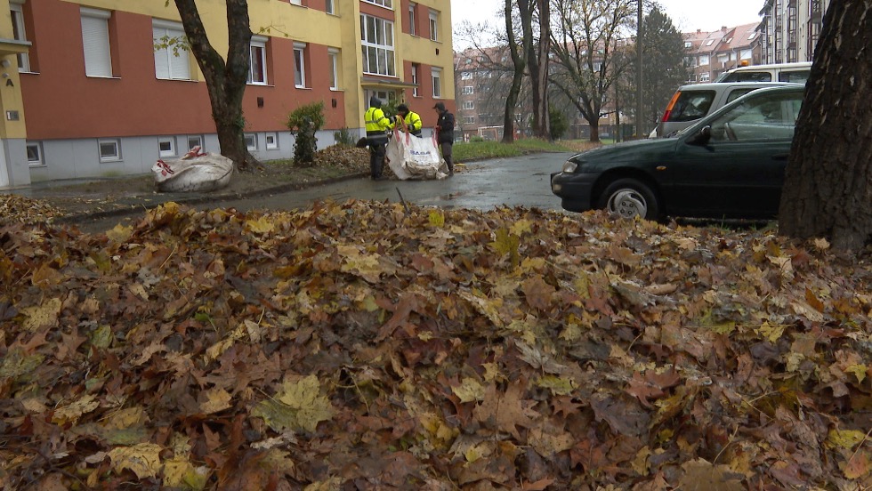 Decemberben is gyjtik a faleveleket Zalaegerszegen