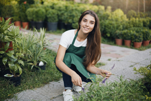 4 n�v�ny, ami el�zi a kullancsokat a kertb�l