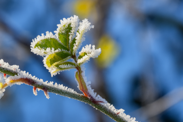 Strandpapucsbl nagykabtba - pnteken reggel akr fagyhat is