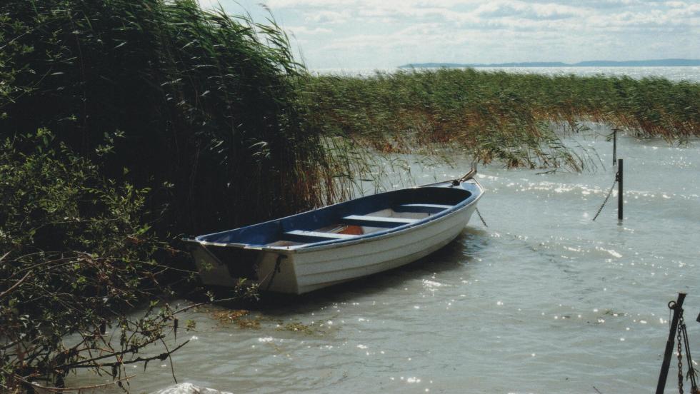 Megtalálták a vízimentők a Balatonban eltűnt férfi holttestét Megtalálták a vízimentők a Balatonban eltűnt férfi holttestét