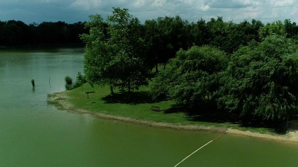 Hat strandon találtak kifogásolható minőségű vizet Hat strandon találtak kifogásolható minőségű vizet