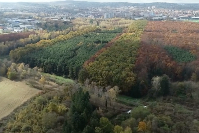 Sikeres volt a 2023-2024-es vadászati év Zala vármegyében Sikeres volt a 2023-2024-es vadászati év Zala vármegyében