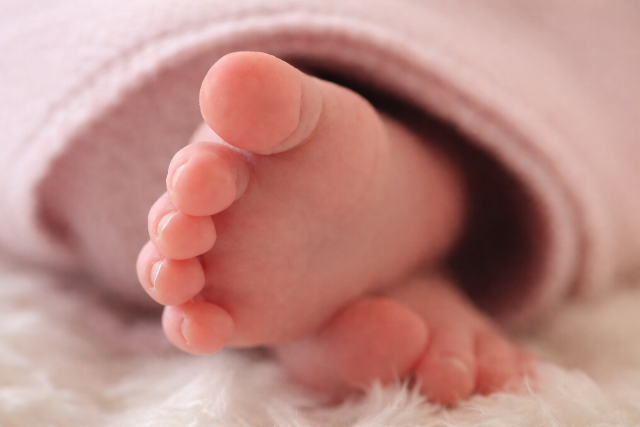 Az �j�v els� bab�i: Mil�n, Sz�fia �s Zo�