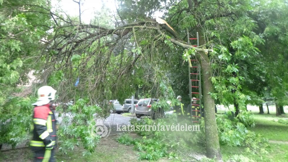 Lehasadt faág veszélyeztette a parkoló autókat Zalaegerszegen Lehasadt faág veszélyeztette a parkoló autókat Zalaegerszegen
