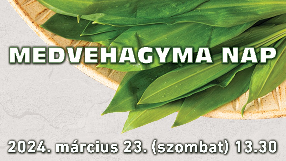 Medvehagyma nap Cscsbozsokon