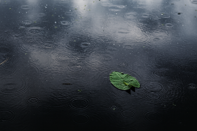 Az augusztusi �tlagos csapad�kmennyis�g 66%-a hullott le egy �jszaka alatt