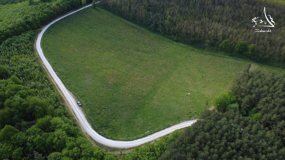 Kísérleti erdőfelújításokkal vizsgálja a klímaváltozás hatásait a Zalaerdő Zrt. Kísérleti erdőfelújításokkal vizsgálja a klímaváltozás hatásait a Zalaerdő Zrt.