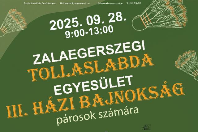 Pros tollaslabda bajnoksg az Apczaiban

