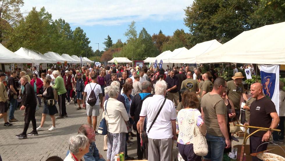 Egész évben pezseg a város: mutatjuk Zalaegerszeg 2026-os programkínálatát Egész évben pezseg a város: mutatjuk Zalaegerszeg 2026-os programkínálatát