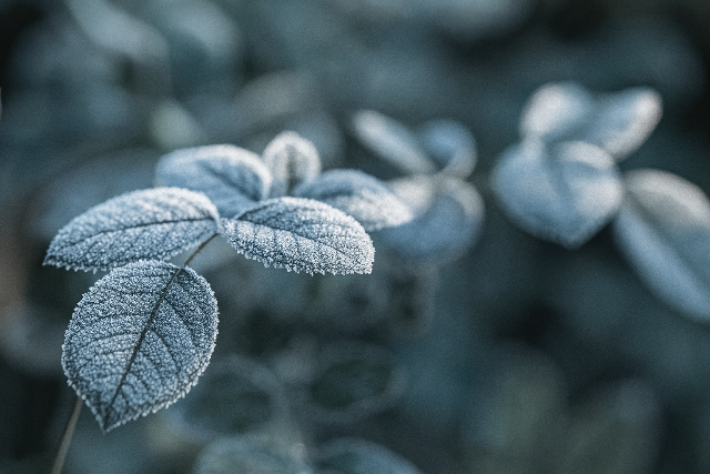 A vasrnap ers szelet s lehlst hozott magval