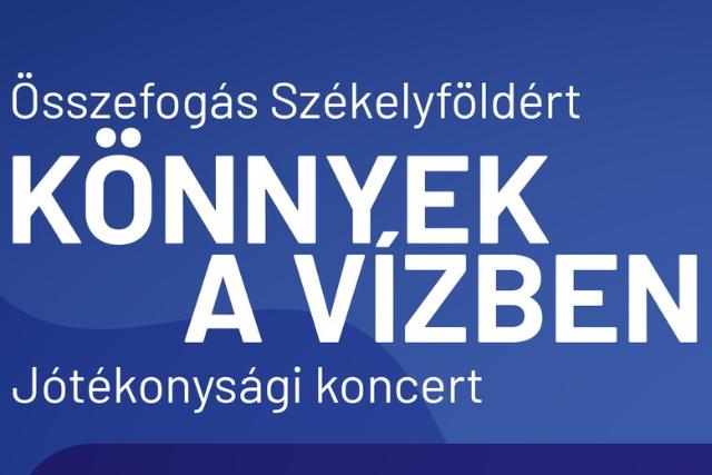 Szeptemberben lesz a „Könnyek a vízben” segélykoncert, az adományozás tovább folytatódik Szeptemberben lesz a „Könnyek a vízben” segélykoncert, az adományozás tovább folytatódik