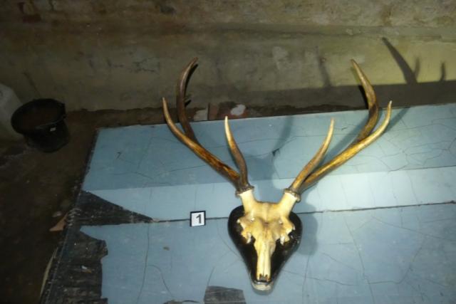 Pontot tettek a betrssorozat vgre a zalakarosi rendrk