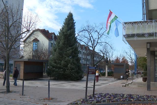 Megrkezett Zalaegerszegre a vros karcsonyfja