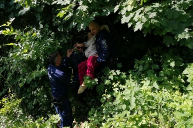 Kutyával és drónnal is keresték a 90 éves zalaegerszegi asszonyt – épségben megtalálták Kutyával és drónnal is keresték a 90 éves zalaegerszegi asszonyt – épségben megtalálták