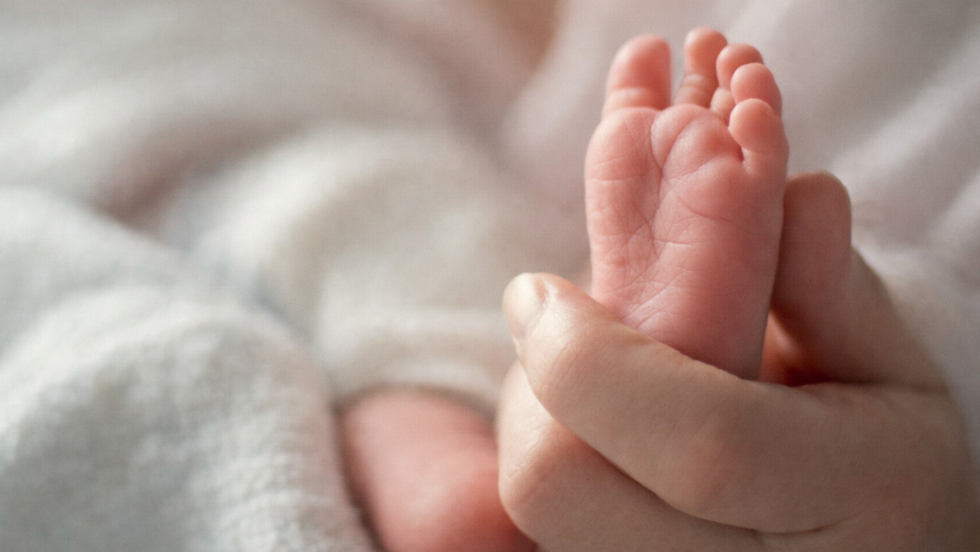 Pontban éjfélkor született meg az új év első magyar babája
Pontban éjfélkor született meg az új év első magyar babája