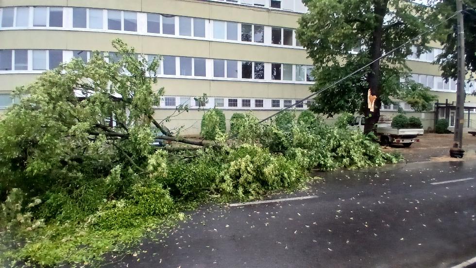 Kidőlt fák, leszakadt vezetékek: több településen is dolgoznak a zalai tűzoltók – Frissítve Kidőlt fák, leszakadt vezetékek: több településen is dolgoznak a zalai tűzoltók – Frissítve
